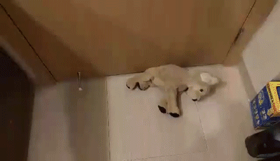 fa7e1ad0ed999d0c6a0a2db1c6d2e67aa55f821c