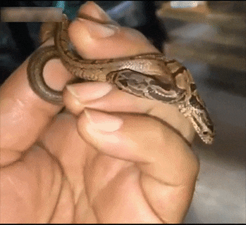 tumblr_oqyqj6BehK1qzhjh2o1_400