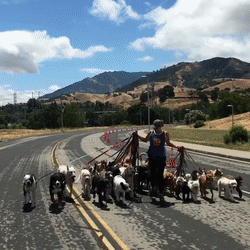 На прогулку