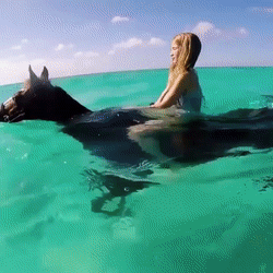 Купание коня