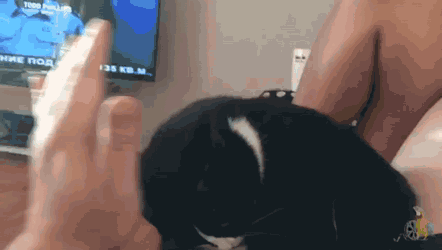 0a531d44b41e2f80ced135d18d5