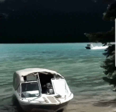 189d742aef32cc2b3da64e46724