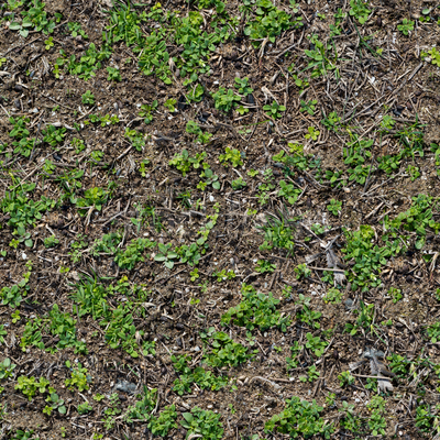 2749037_stock-photo-grass-seamless-texture