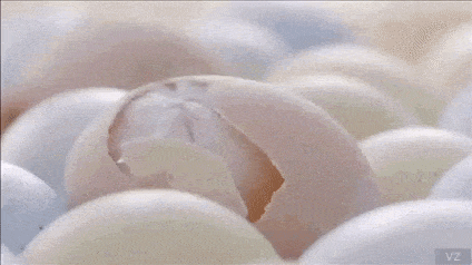 -gif-песочница-3913618