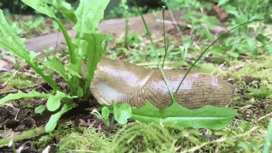 995e27f60f9478e9e8c39bca681