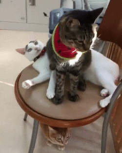 прости, не заметил.