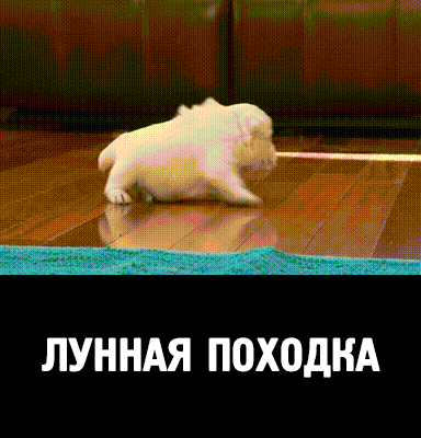 7036fd56c45a48cb51a5deb054999139356d01556661c05f3600e002fd300322_1