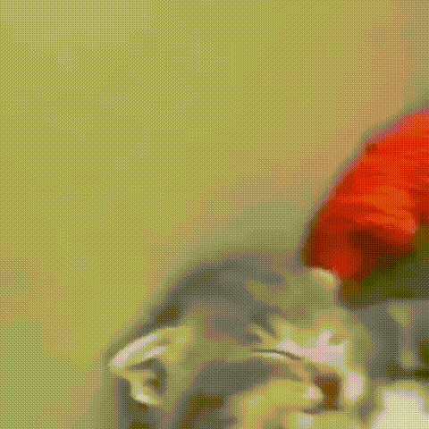 нямка