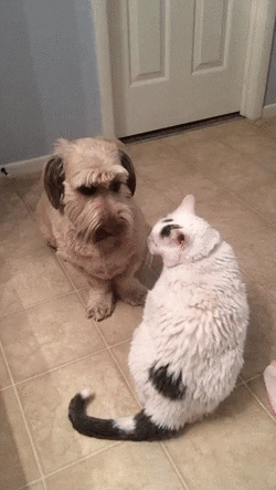 Чего надулся?