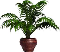 0_164275_6c674e75_orig_zpsq99vtixt