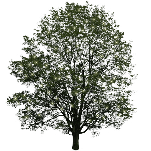 0_181347_91b2b73_orig_zpsvw5w3w35