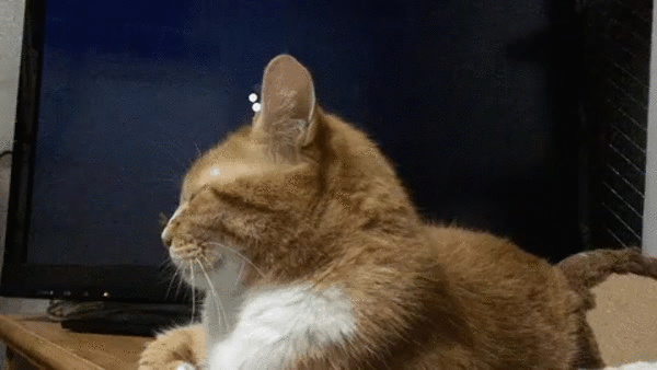 -гифки-телевизор-песочница-3926579