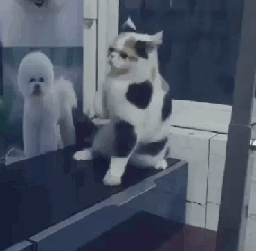 услышал заводную музычку