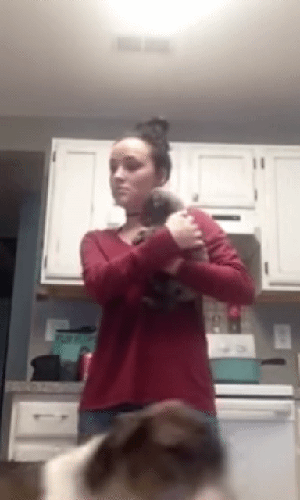 хочу на ручки