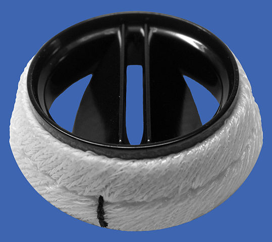 Aortic_Karboniks-1_bileafter_prosthetic_heart_valve