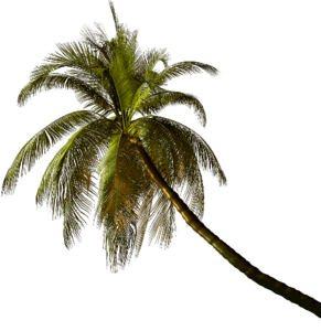 0_167a0c_7f9873d5_orig