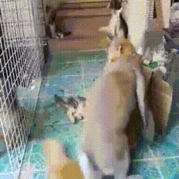 doc291428423_447083519