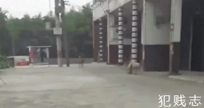 6f57a017gy1fh7mvar06ng208204ax43