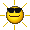 sm_insun