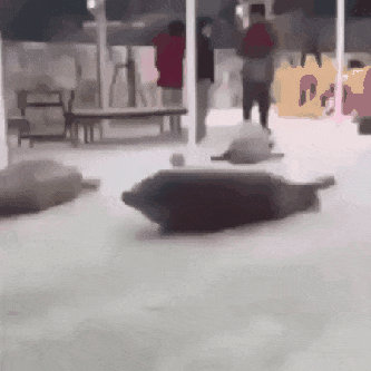 tumblr_osybn4sUyM1vclfhuo1_400