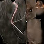 летучия мышка