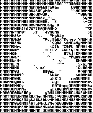 51