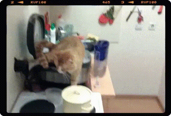 А не надо прятать тапки