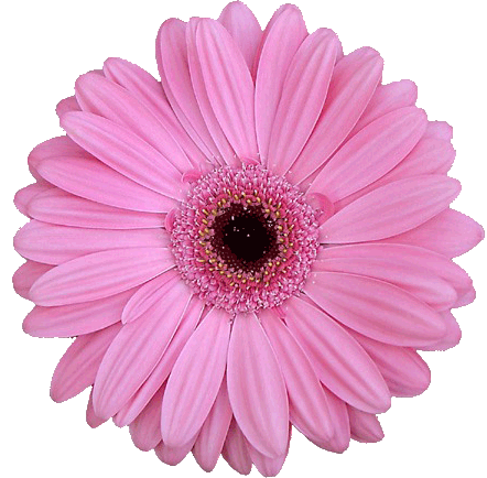 0_1b7d49_892113cc_orig