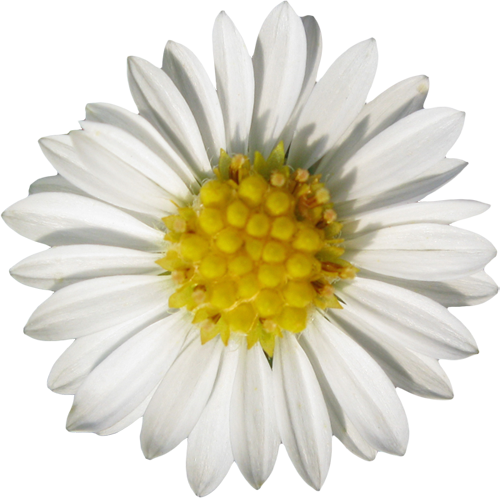 0_1b7d4c_404c5d4c_orig