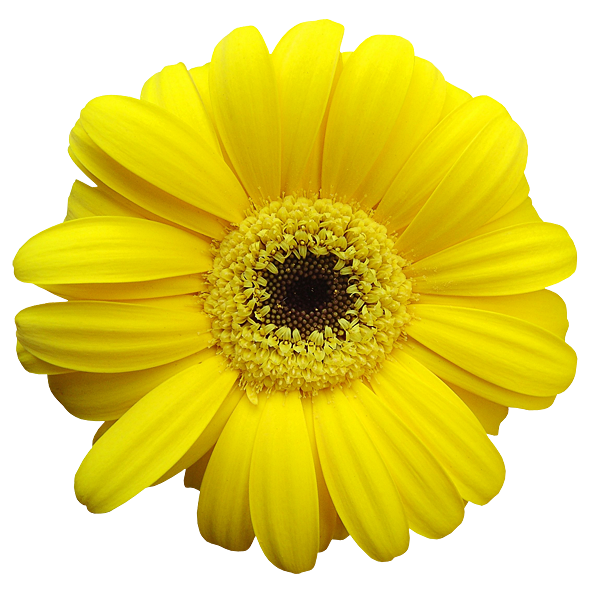 0_1b7d55_76c87bb1_orig