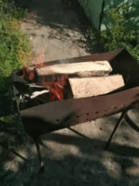 animation.gif