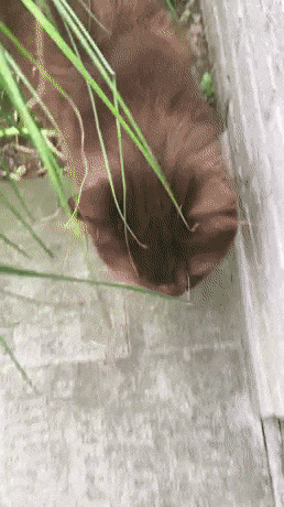 Жить захочешь не так раскорячишся