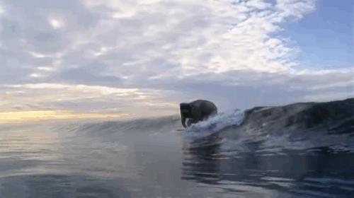 тебе сняться нормальные сны