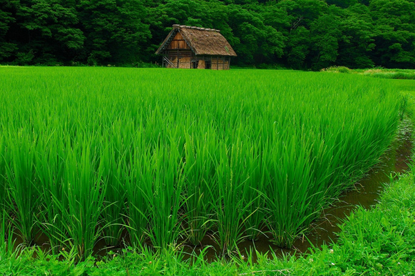 Всем добра:)