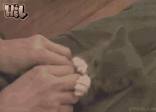 0c665d042a43151d80091f7c3e1357f2