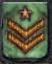 veteran