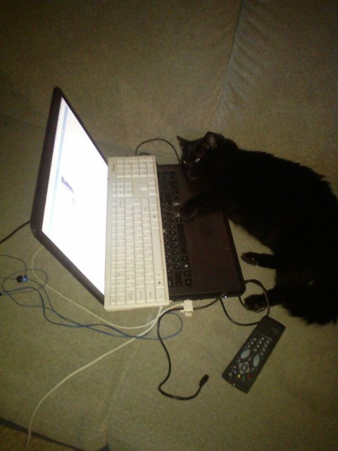 14502779_583469081863199_7719597993914378081_n