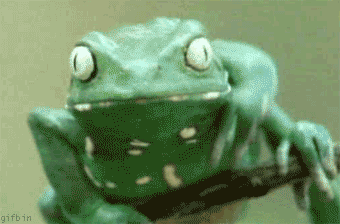 gifs_20 (1)