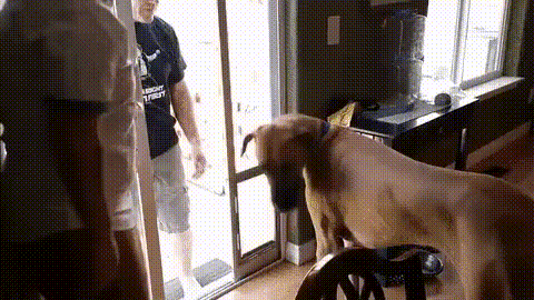 doc_2017-08-17_06-41-35