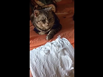 Взгляд