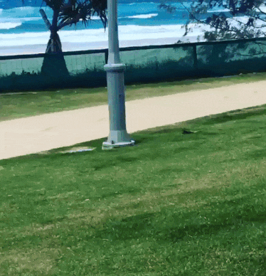 tumblr_ooys54xGlz1vnq1cro1_400