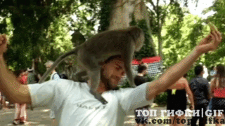 1474053905141582279_1