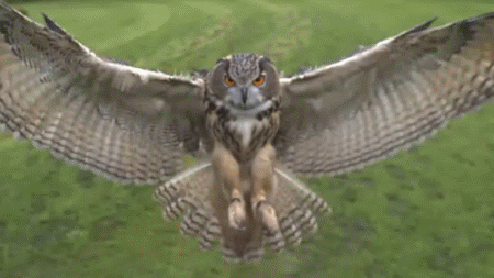 1d6d5126889a753ac7301eca68dcaf5f