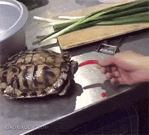 Нормальная реакция