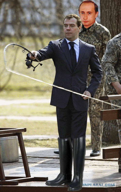 Медв и Пут Рыба