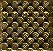 50662546_Gold_402