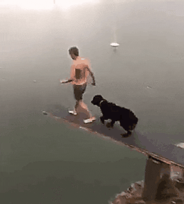 Парень с собакой прыгают в воду