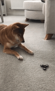 9bb757a865afeeae07a5672f5a58309d_142930_1504112286