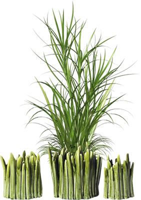 0_274988_ff2c2e7a_orig