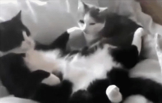 Барин и слуга